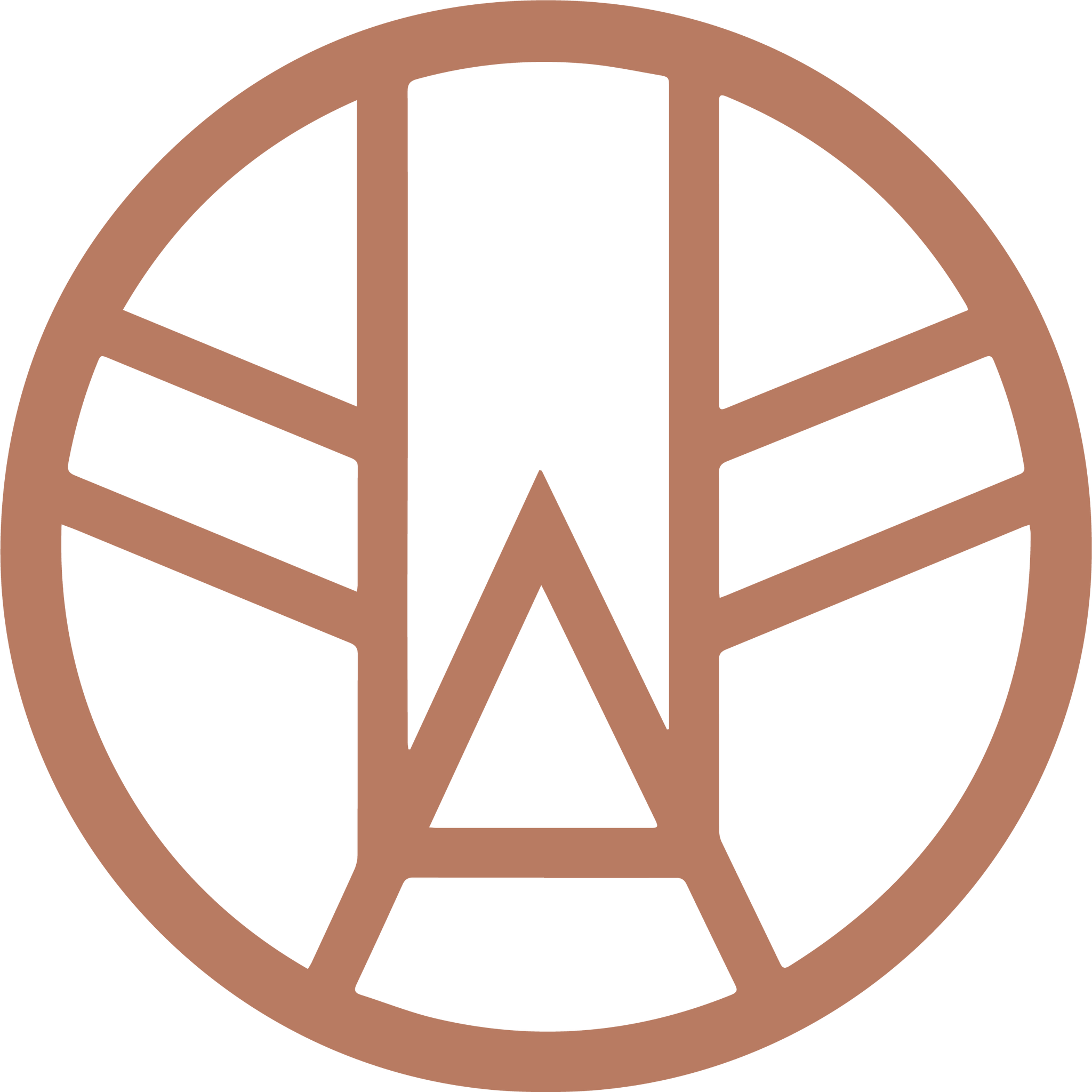 Mapache, handmade solar accessories from Mexico