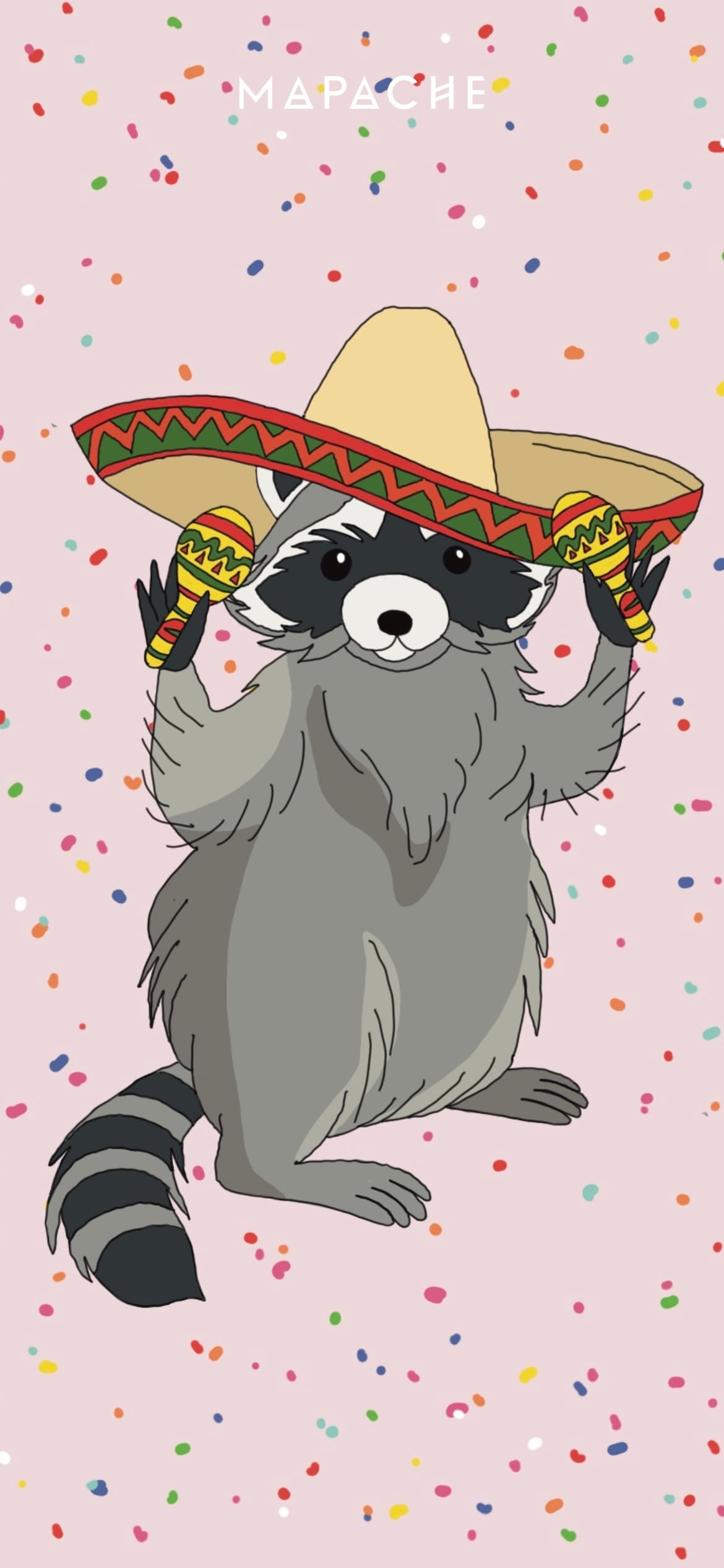 Fond d'écran - Raton laveur avec un sombrero tenant des maracas 