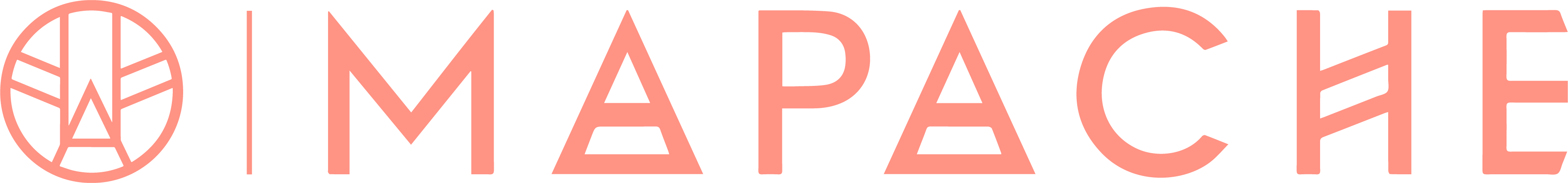 Mapache