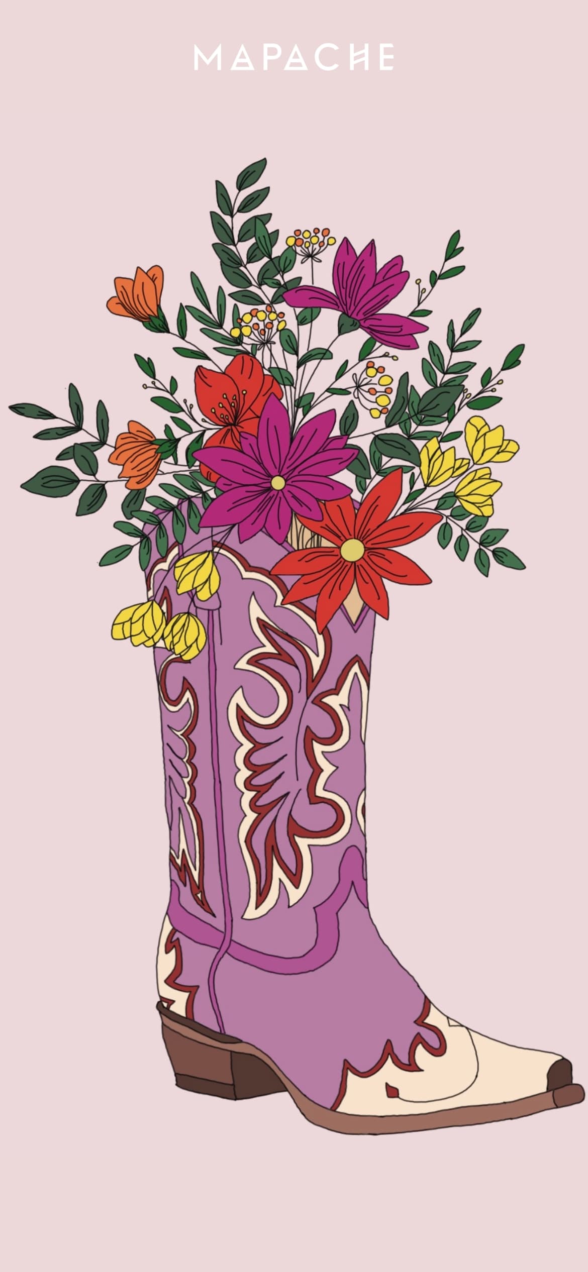 Fond d'écran - Botte type Santiago servant de pot de fleurs 